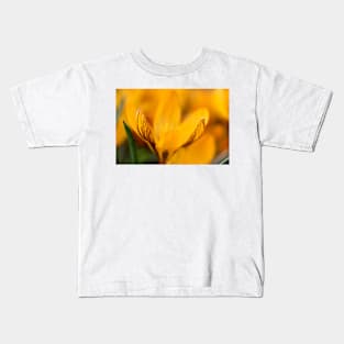 Crocus olivieri subsp. balansae  &#39;Zwanenburg&#39;  Syn.  Crocus balansae &#39;Zwanenburg&#39; Kids T-Shirt